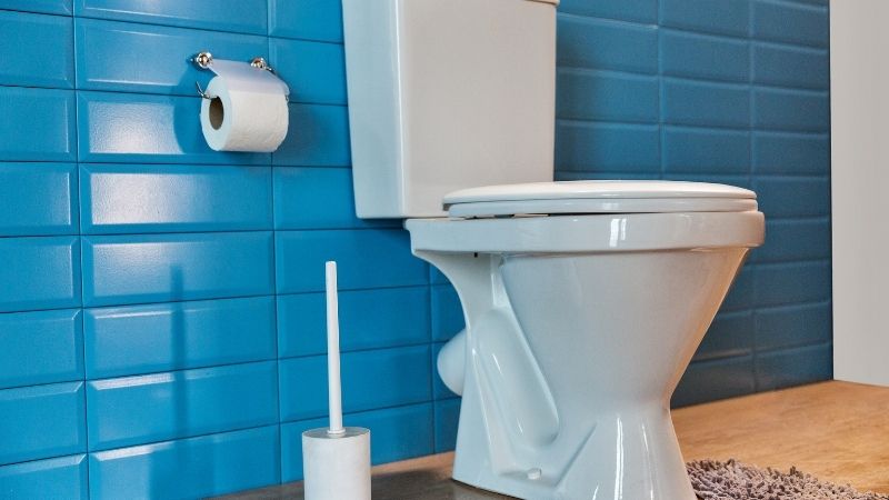What to Do When You Have a Leaking Toilet