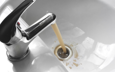 What to Do About Brown Water: Causes and Solutions