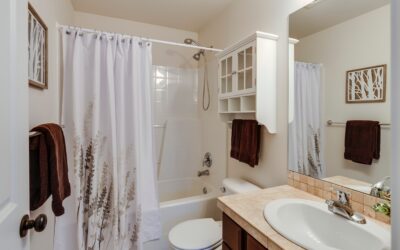 Leaking Shower: Quick Fixes and Prevention Tips