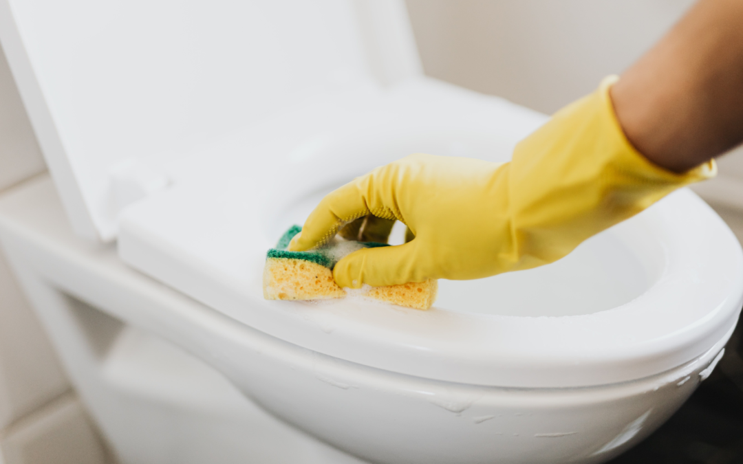 How to Fix a Leaking Toilet: DIY Solutions vs Professional Help